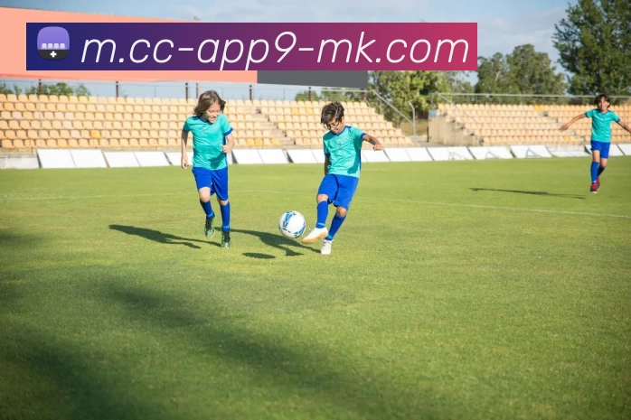 App 展示图